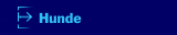 Hunde